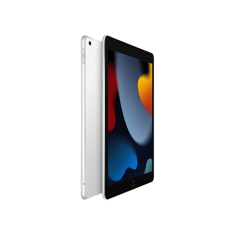 Dimprice  Apple iPad 2021 10,2 9e génération (Wi-Fi, 256 Go) - Argent